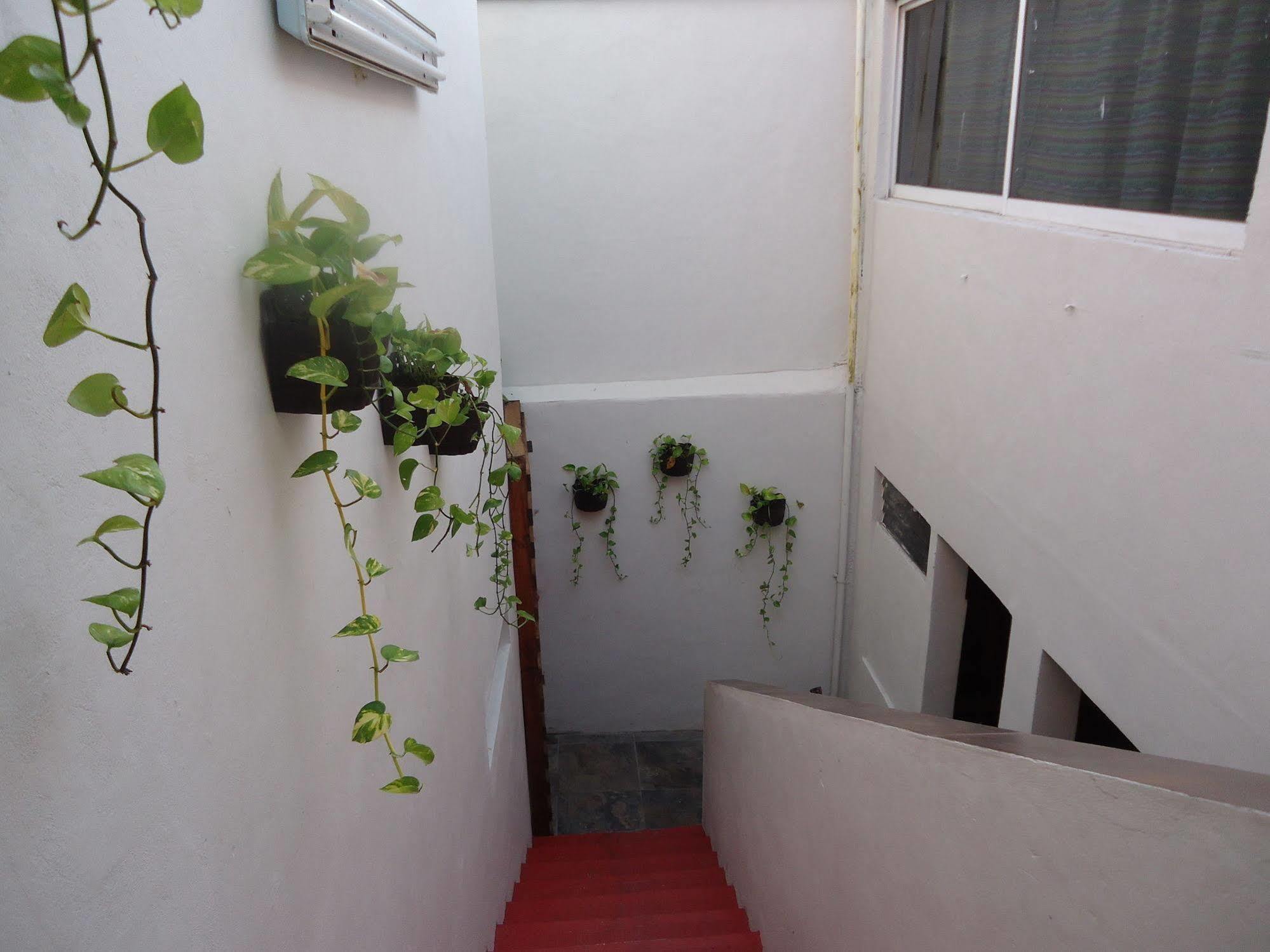 Humble Bumble Hostel Playa del Carmen Luaran gambar